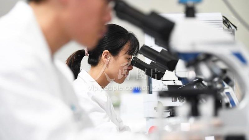 CDMO：揭秘药物研发背后的隐形推手