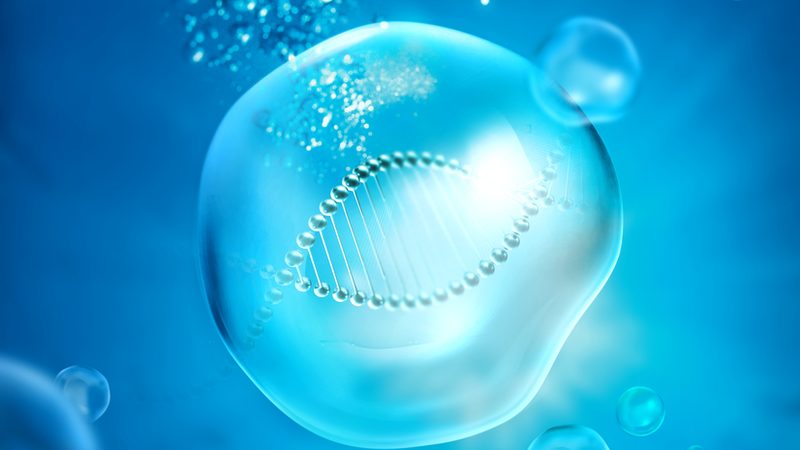 北京分子生物学试剂：揭秘其背后的科技力量**