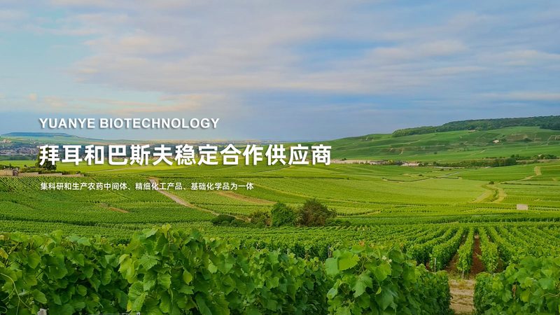 工业PCR检测设备选型：关键参数与考量因素**