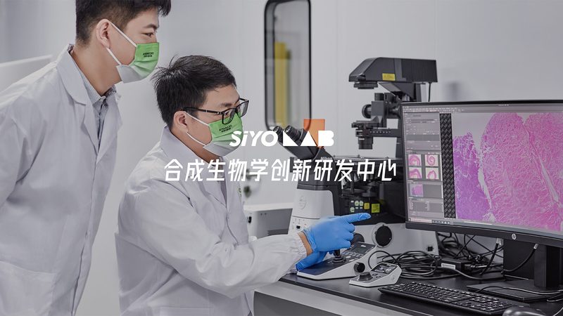 避坑指南：如何避免选择低性价比的供应商