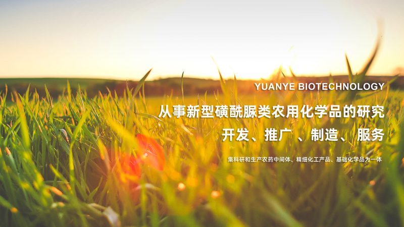 医院诊断试剂供应商怎么选