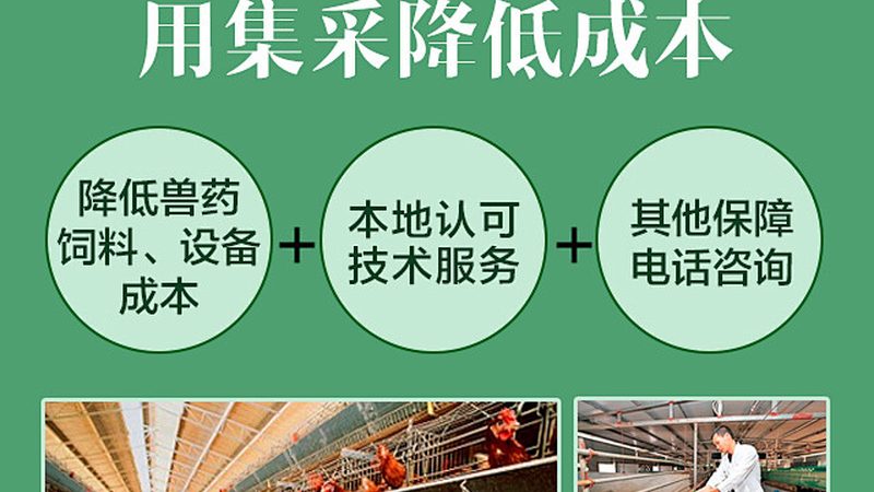 抗体产品质检报告未查询到原因的排查指南