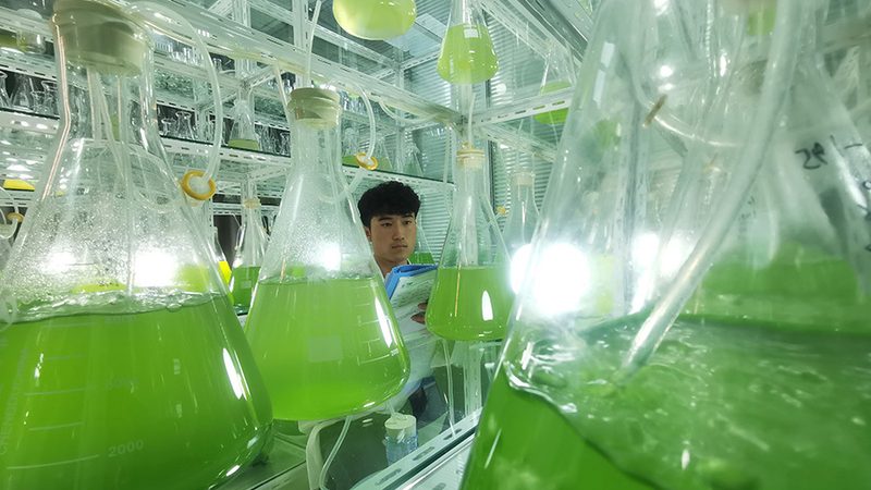 基因解码运动潜能，定制化套餐引领健康生活新趋势